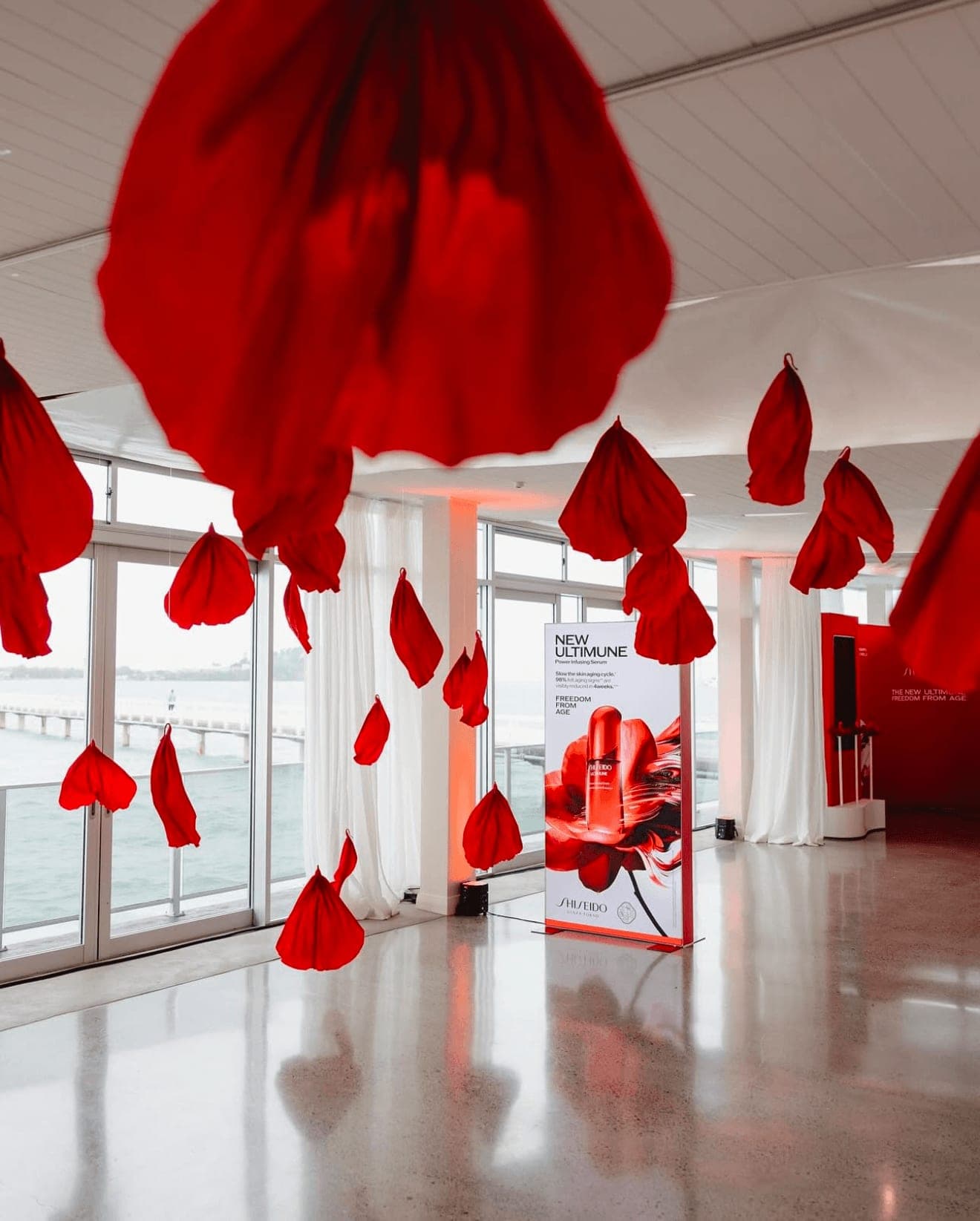 Auckland installation 10