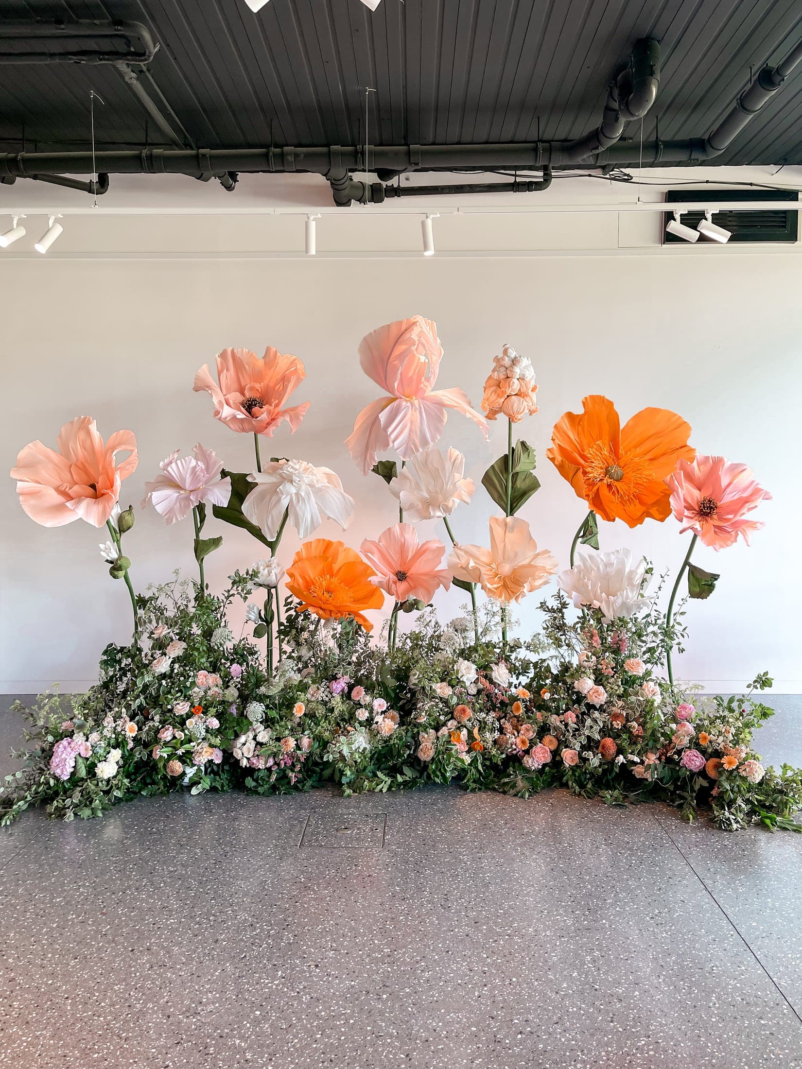 Auckland installation 3