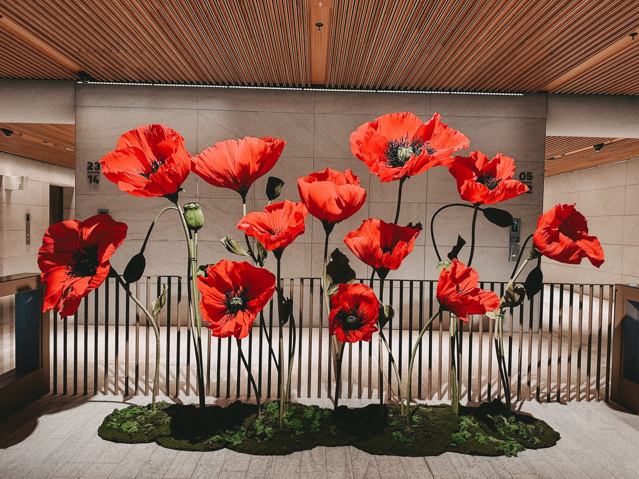 Auckland installation 20