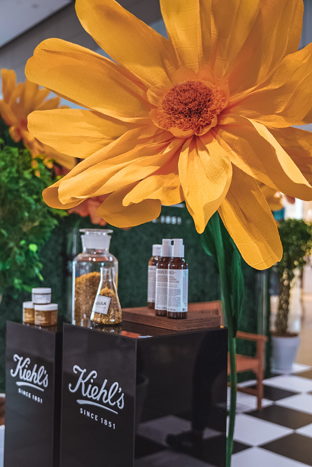 Brisbane installation 19